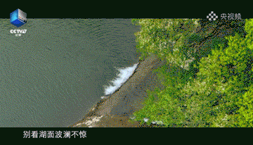 640?wx_fmt=gif ͼƬ