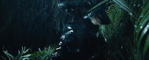 640?wx_fmt=gif&from=appmsg ͼƬ